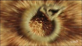 Survivor - Season 42 Episode 02